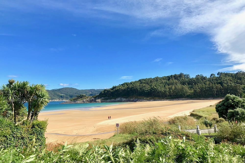 Photo of Others in Viveiro