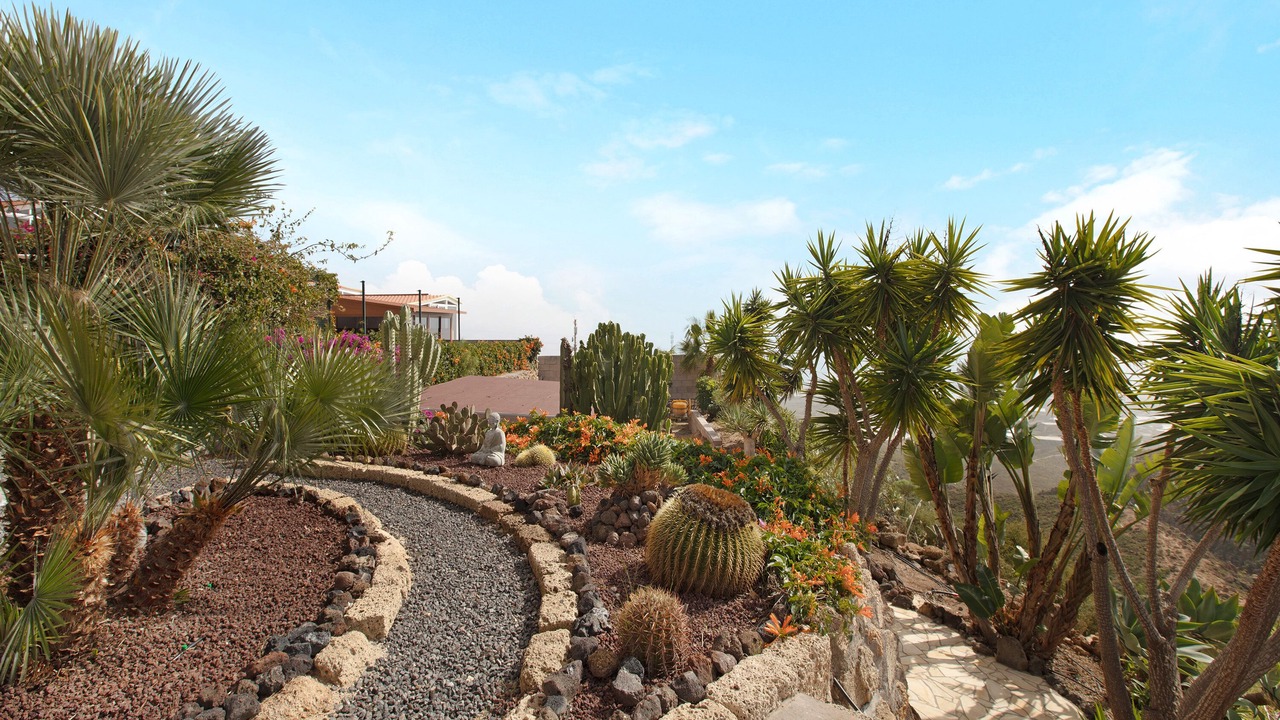 Photo of Outdoor in Villa de Arico
