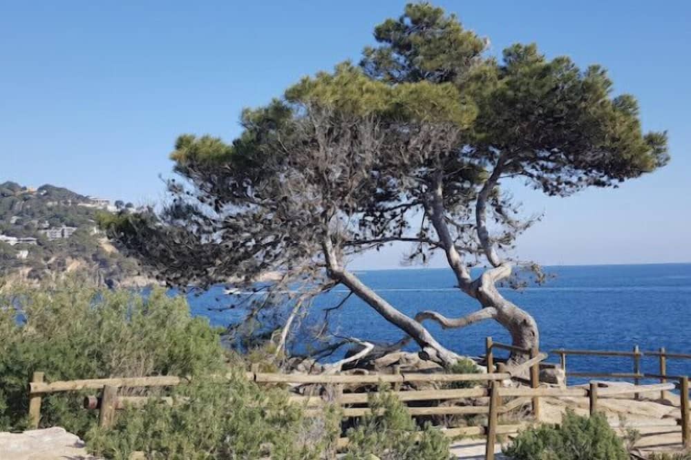 Photo of Outdoor in Calella de Palafrugell