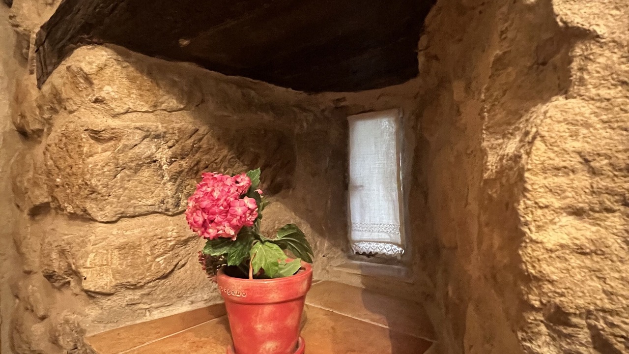 Photo of Bathroom in Leza