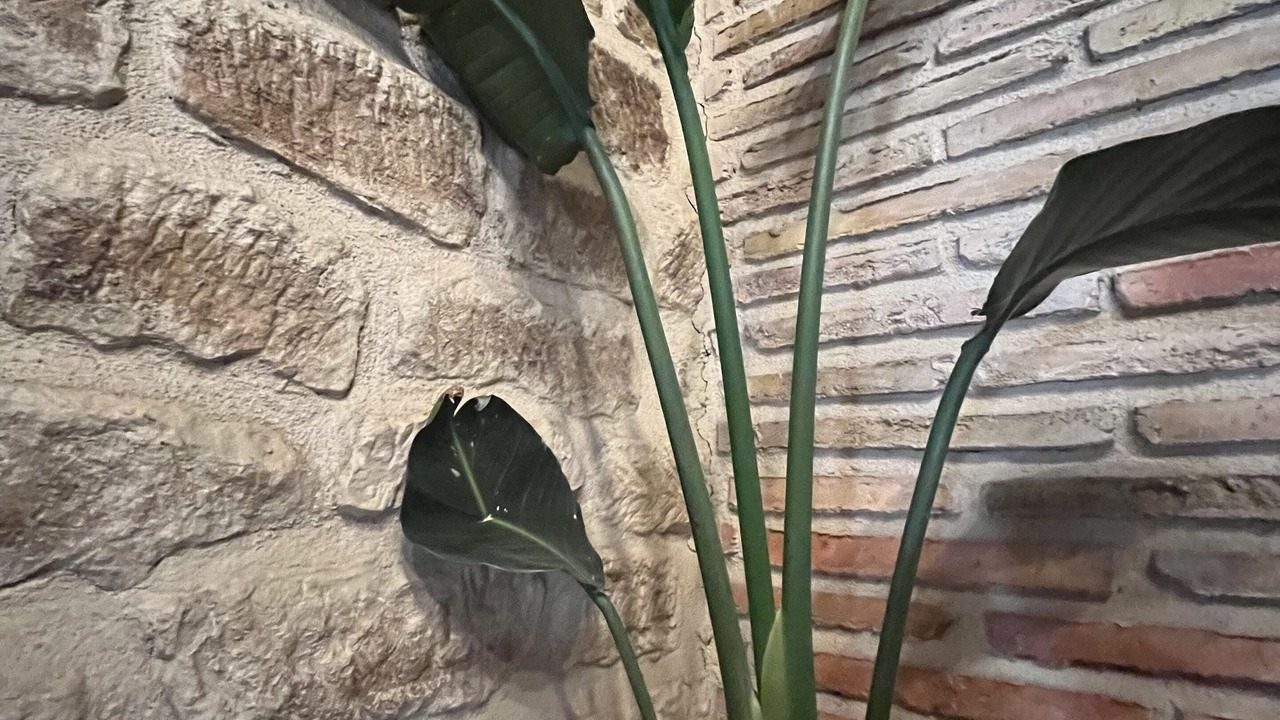 Photo of Outdoor in Leza