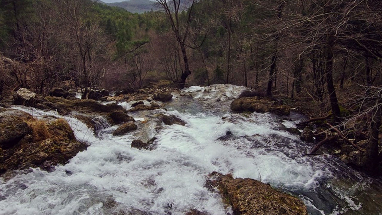 Photo of Outdoor in Puente De Genave