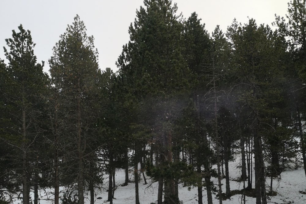 Photo of Outdoor in La Coma I la Pedra