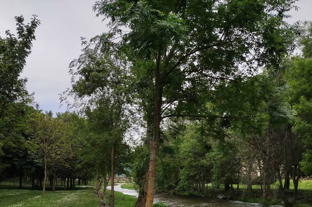 Photo of Outdoor in Ezcaray