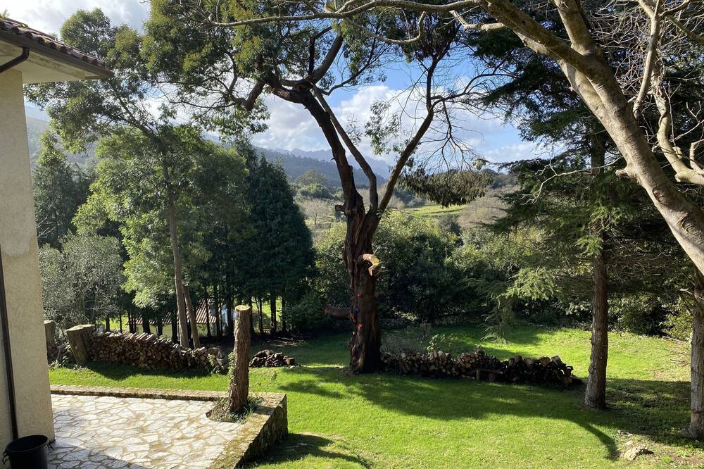 Photo of Outdoor in Vidiago