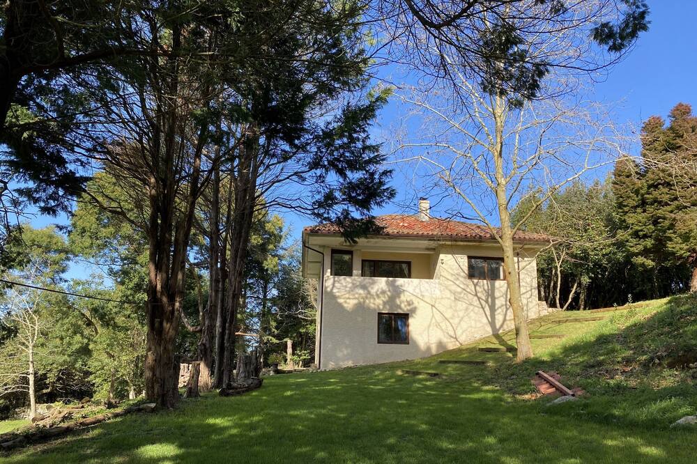 Photo of Outdoor in Vidiago