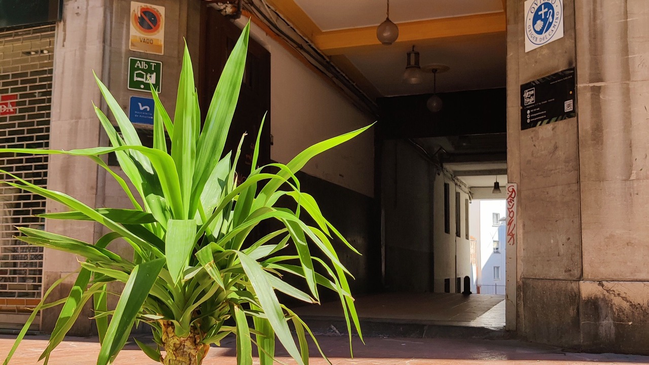Photo of Outdoor in Old Town