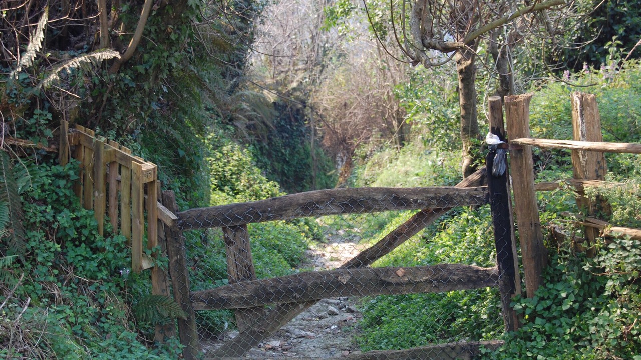Photo of Outdoor in Santovena