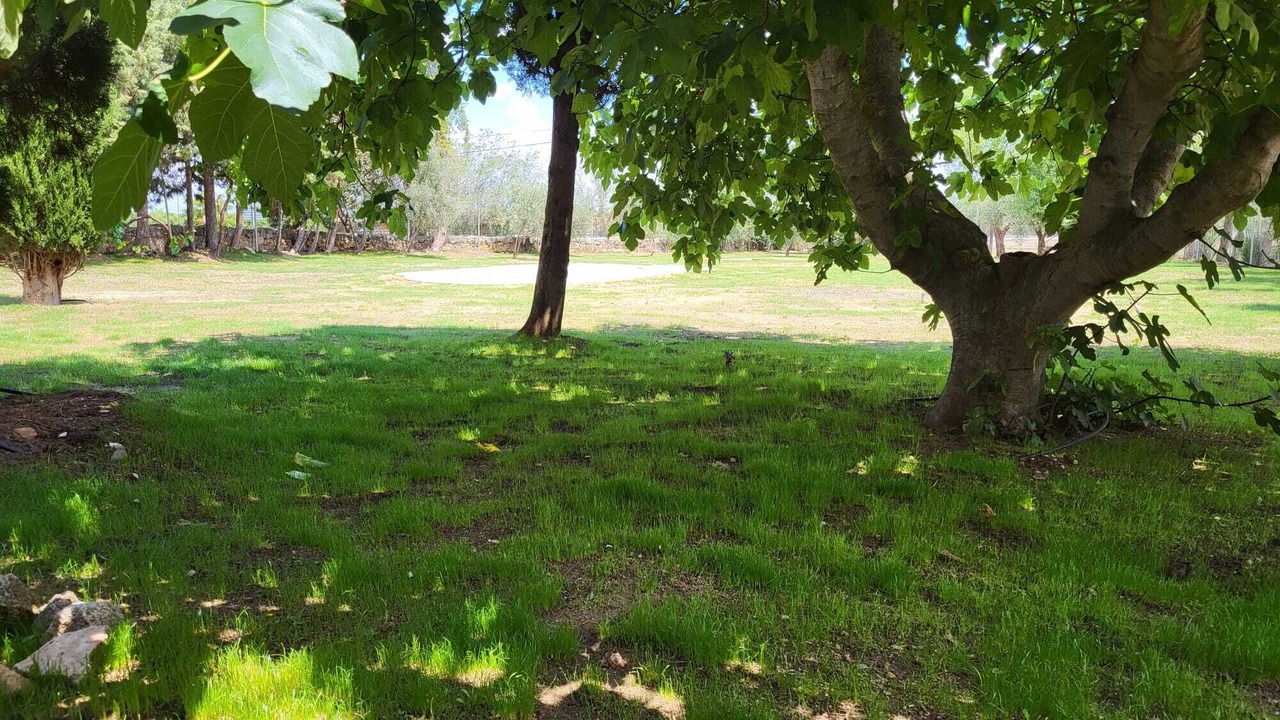 Photo of Outdoor in San Martin de Montalban