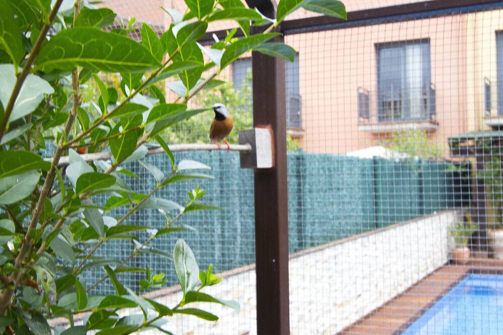Photo of Others in La Bisbal d'Emporda