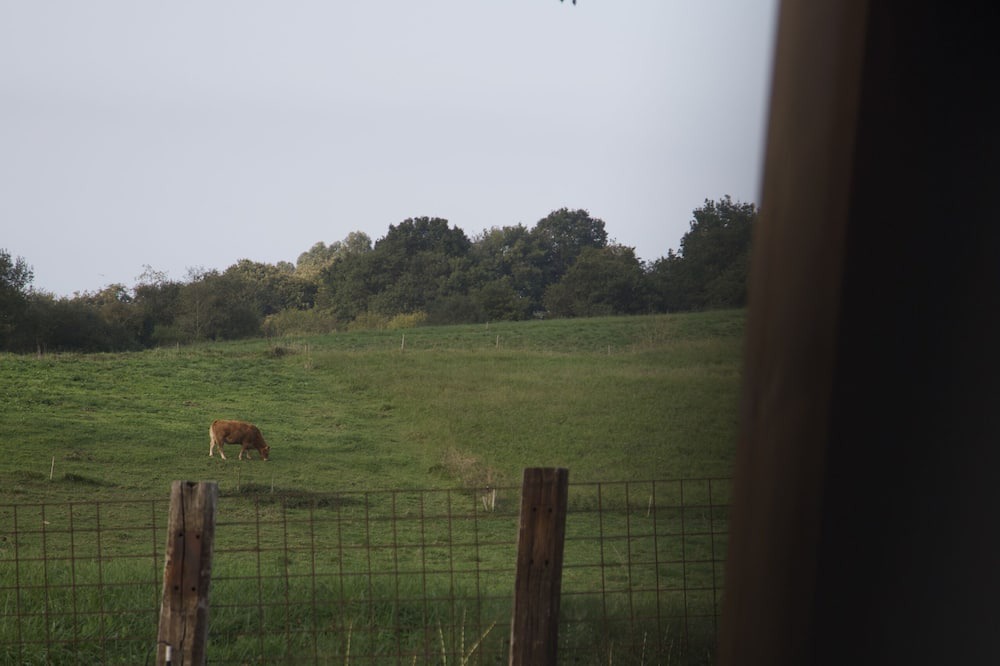 Photo of Outdoor in Caviedes