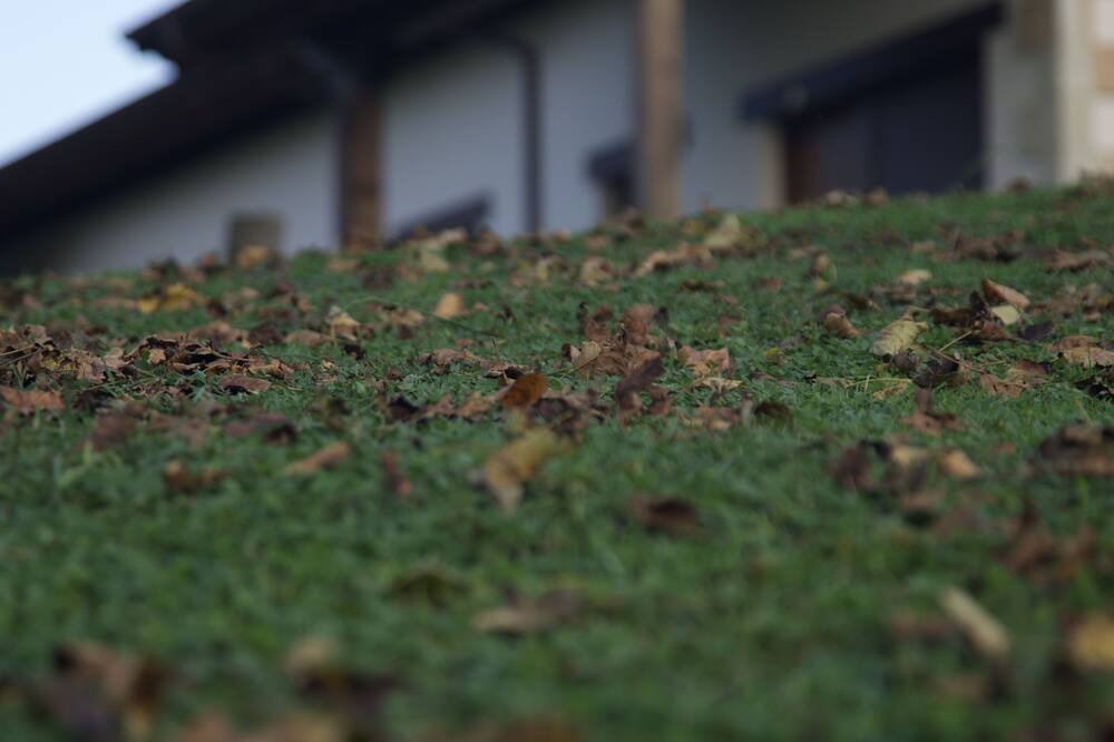 Photo of Outdoor in Caviedes