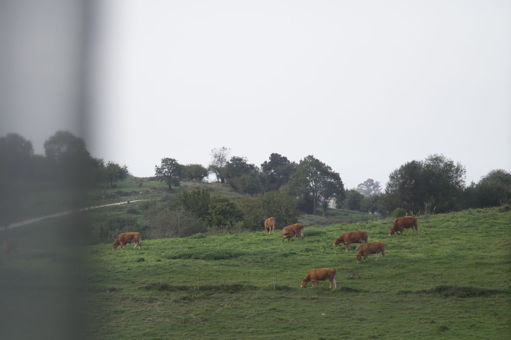 Photo of Outdoor in Lamadrid