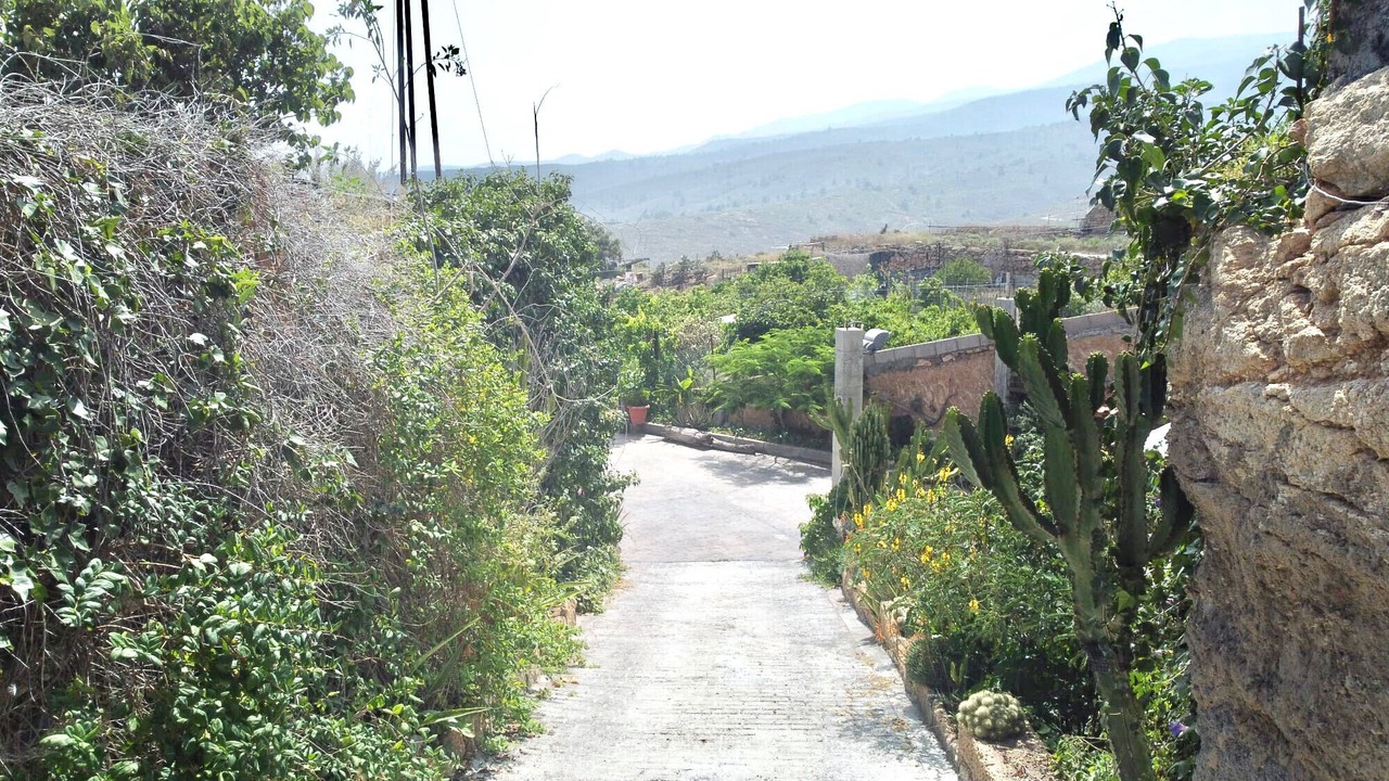 Photo of Outdoor in Los Gavilanes