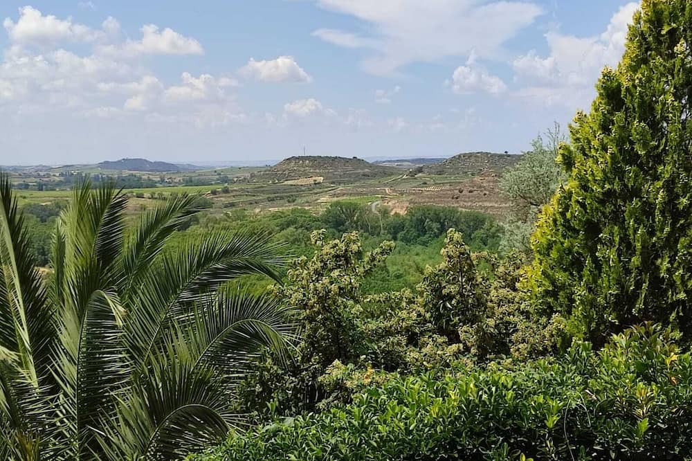 Photo of Others in San Vicente de la Sonsierra
