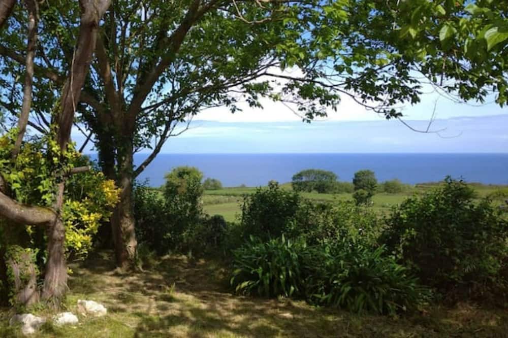 Photo of Outdoor in Tornon