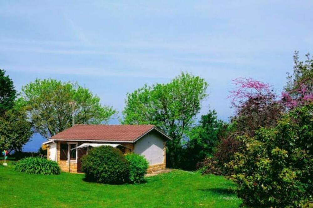 Photo of Outdoor in Tornon