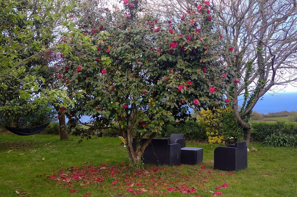 Photo of Outdoor in Tornon