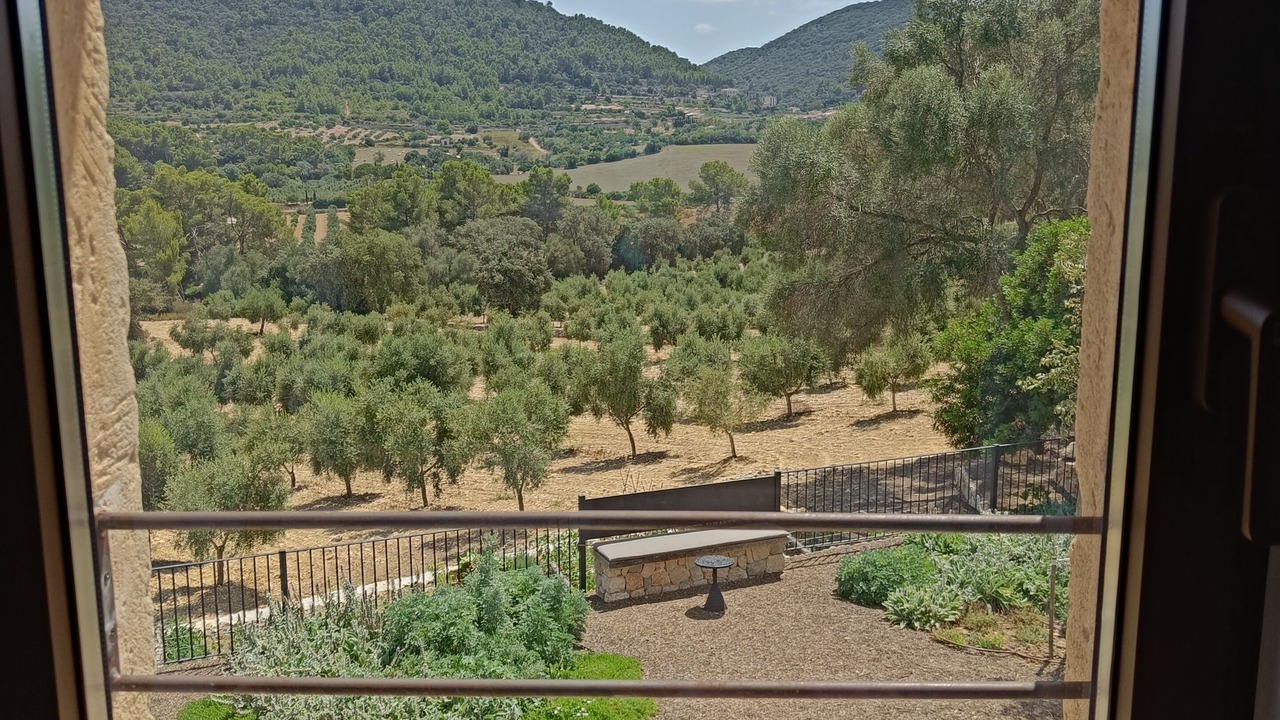 Photo of Outdoor in Algaida
