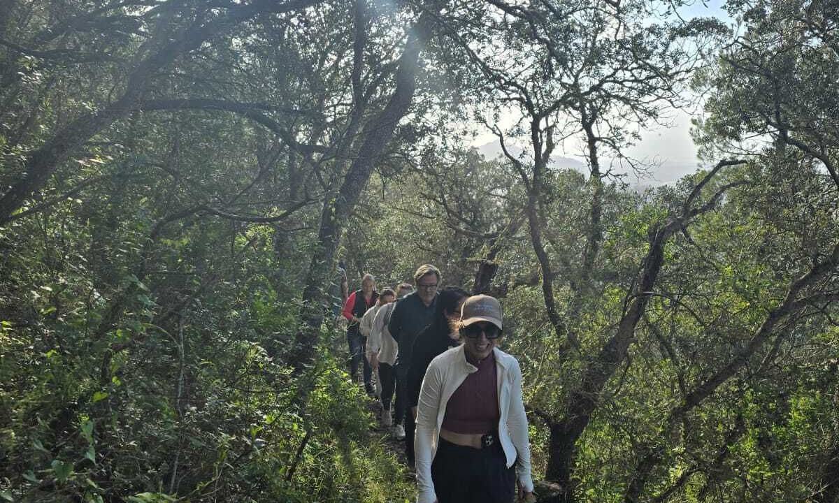 Photo of Outdoor in Algaida