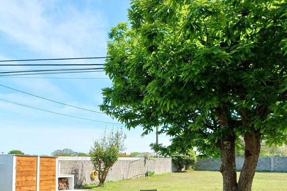 Photo of Outdoor in Meiras