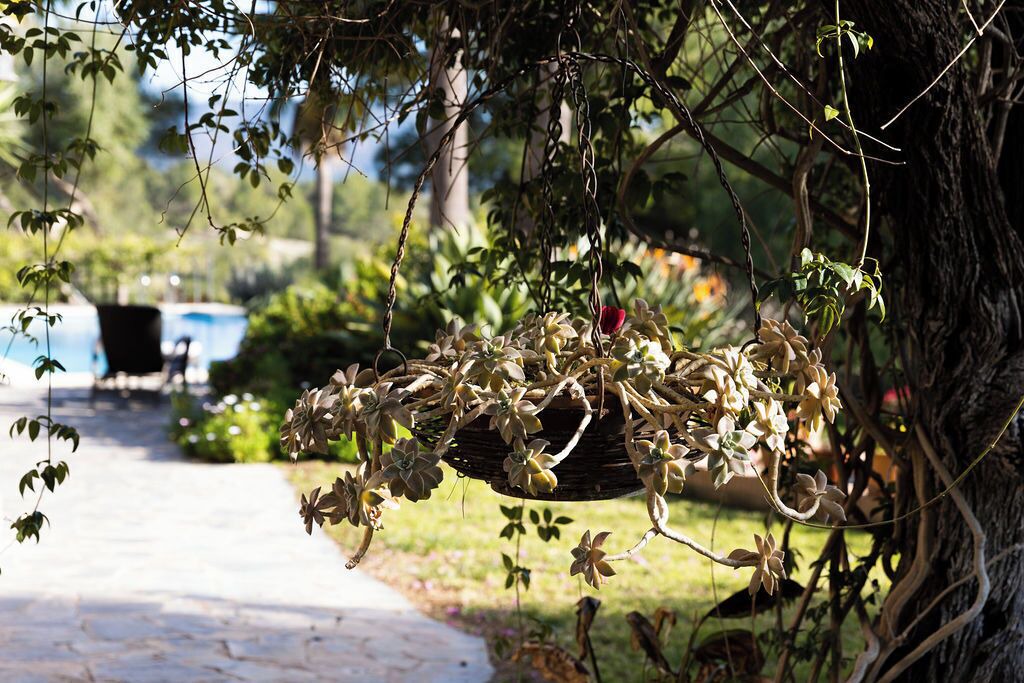 Photo of Outdoor in Es Capdella