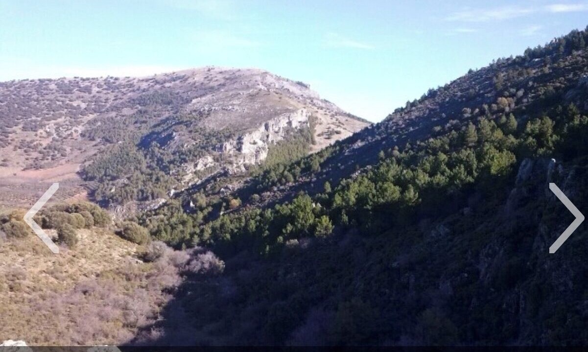 Photo of Outdoor in Tozar