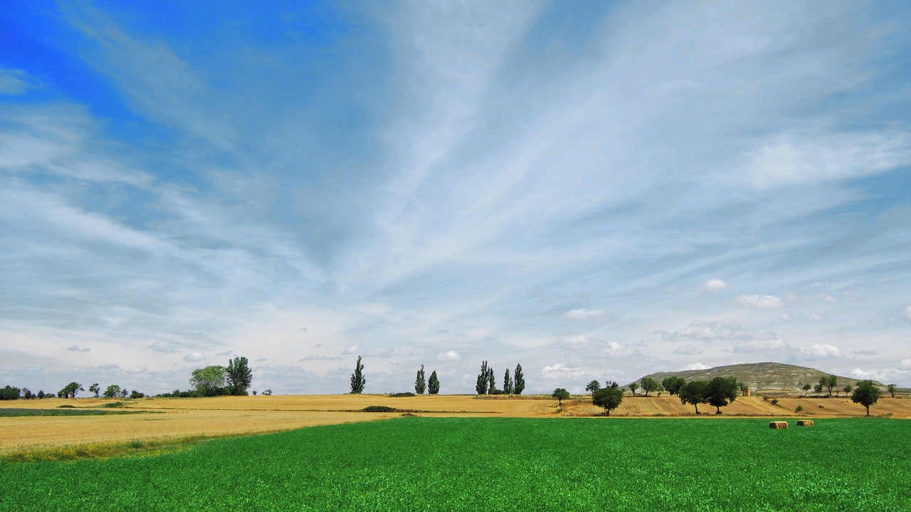 Photo of Outdoor in Castrojeriz
