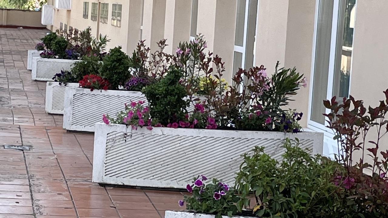 Photo of Patio Balcony in Burgos