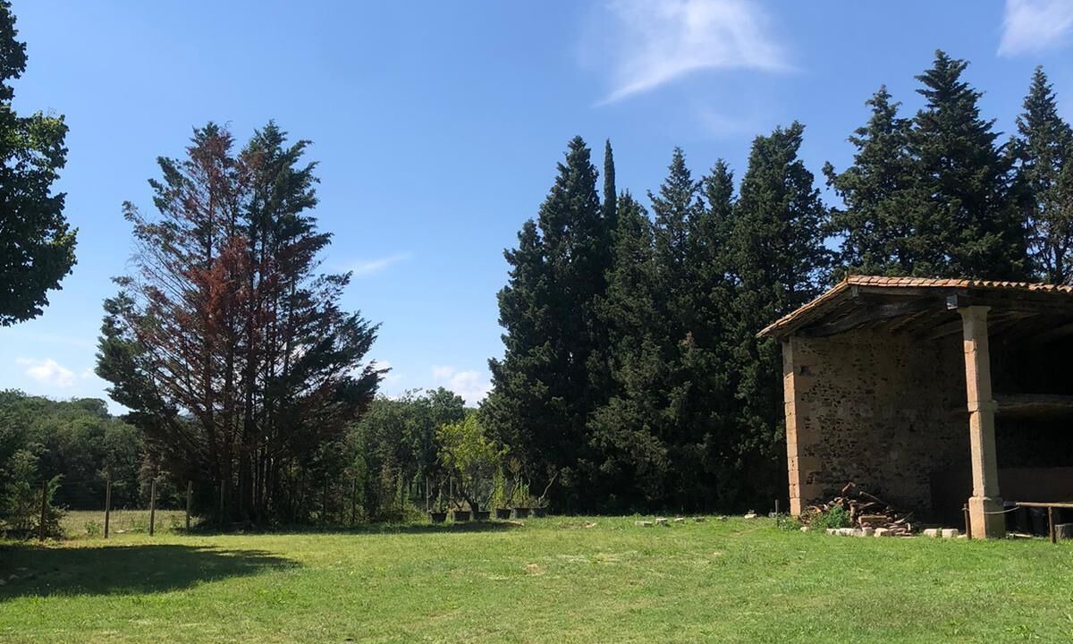 Photo of Outdoor in Riudarenes