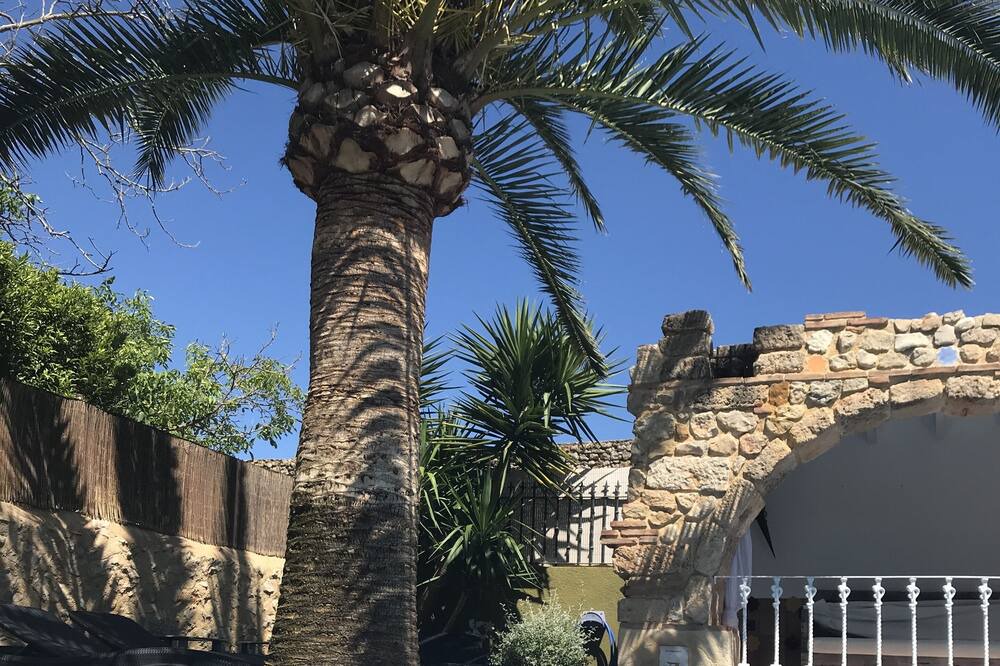 Photo of Outdoor in Jalon
