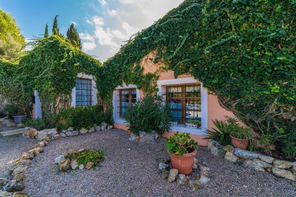 Photo of Outdoor in Galilea