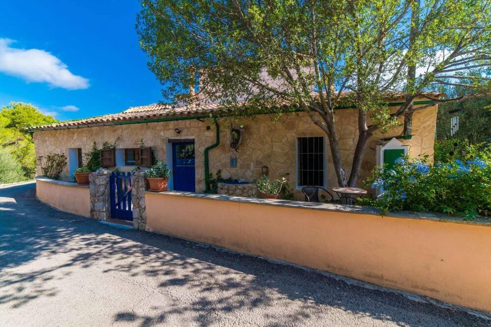 Photo of Outdoor in Galilea
