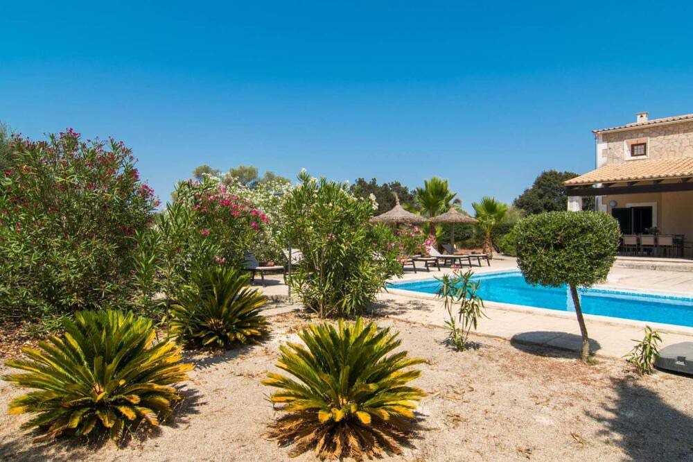 Photo of Outdoor in Algaida