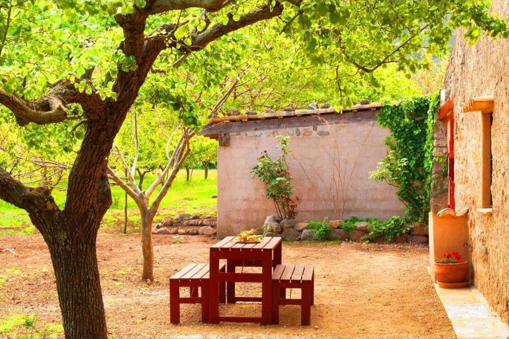 Photo of Outdoor in Valldemossa