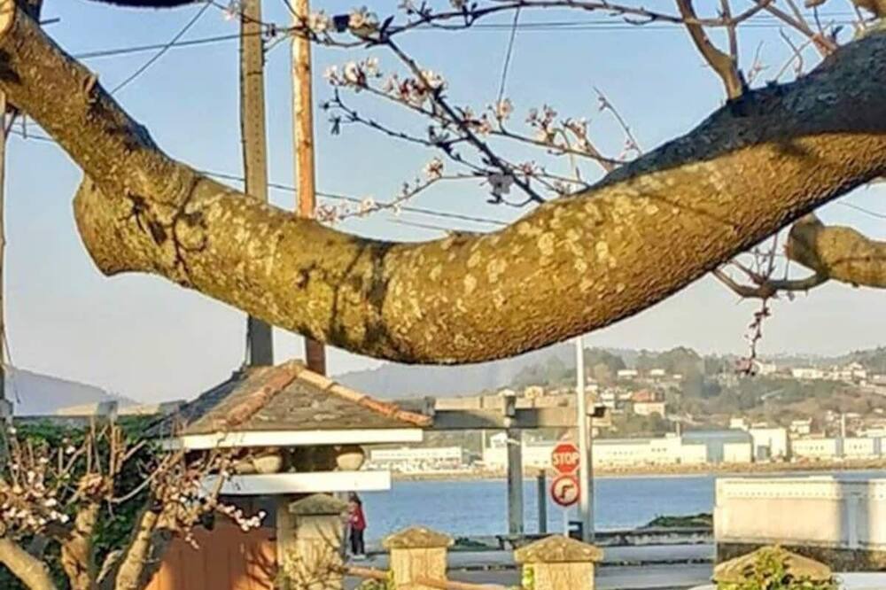 Photo of Outdoor in Covas
