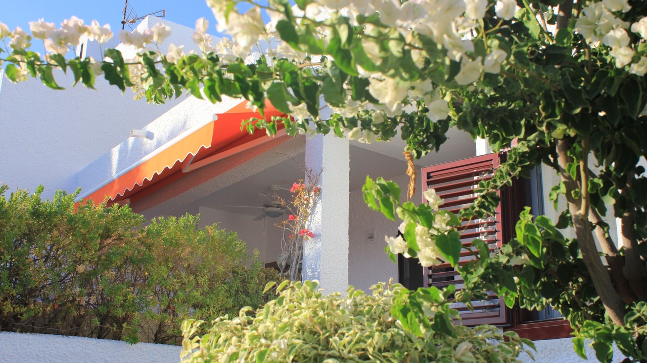 Photo of Outdoor in Los Puertos