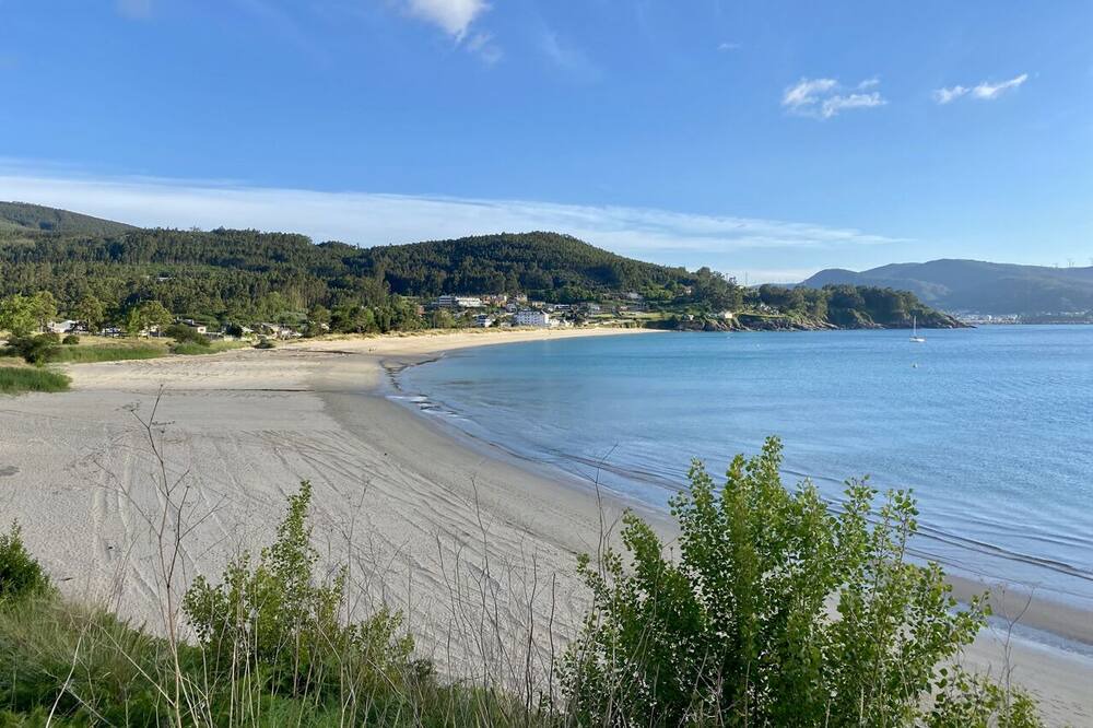 Photo of Others in Viveiro