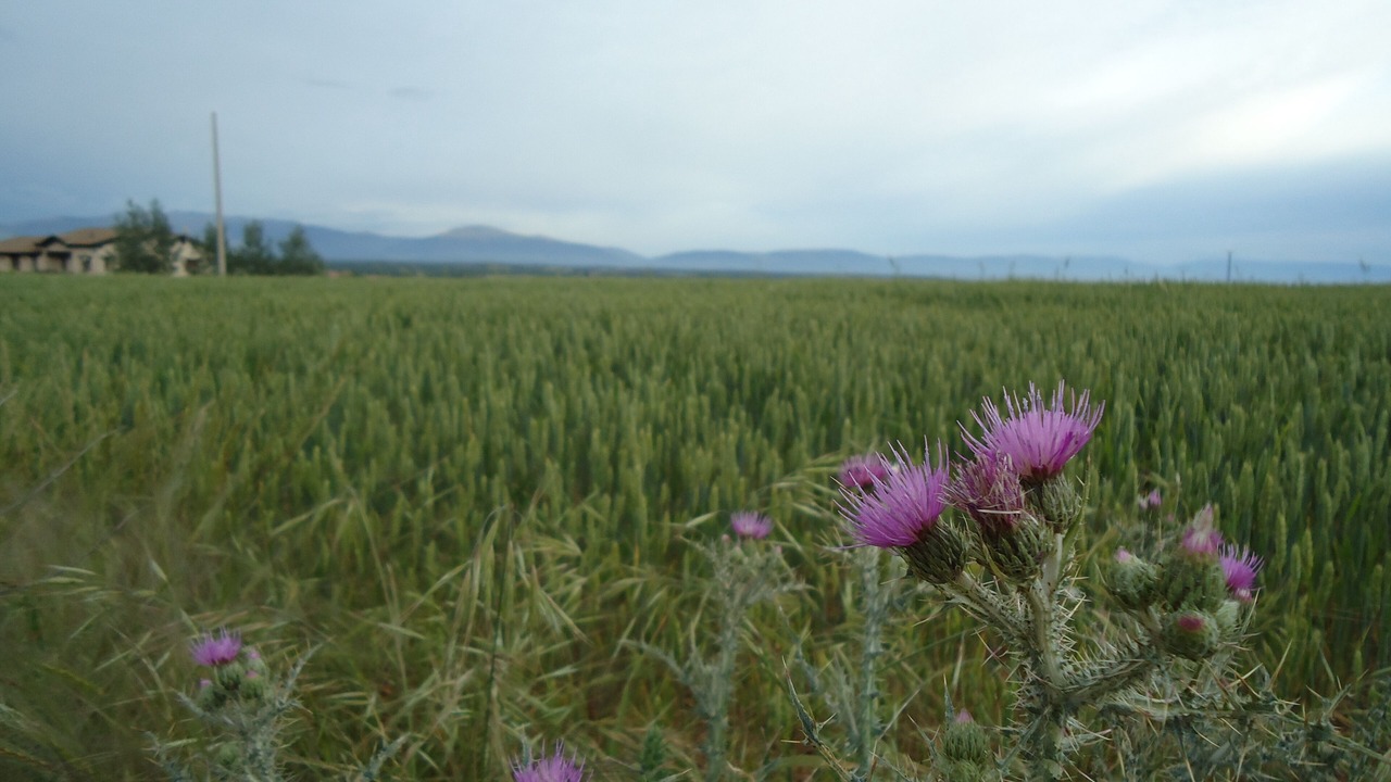 Photo of Outdoor in Grajera