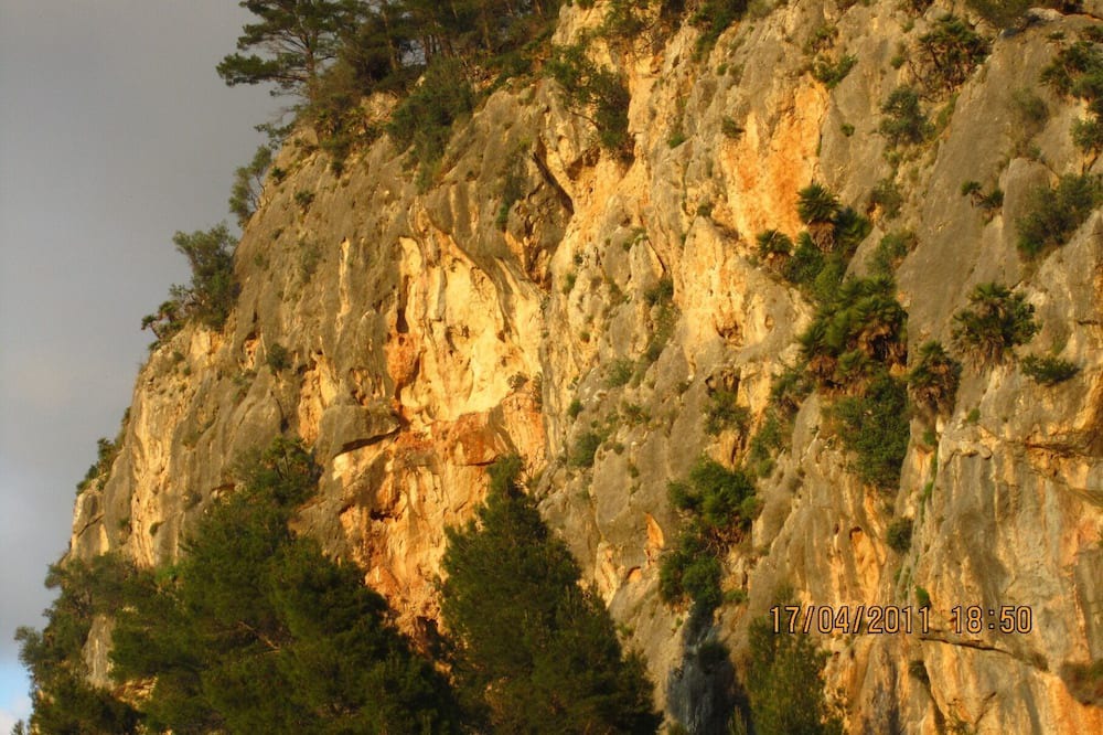 Photo of Outdoor in Estellencs
