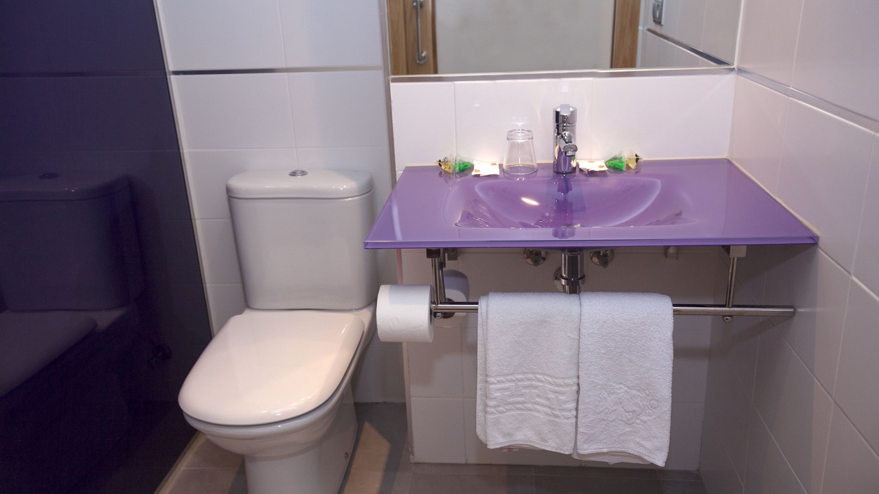 Photo of Bathroom in Labastida