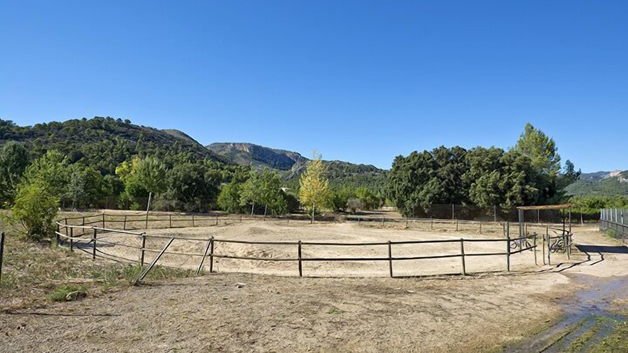 Photo of Outdoor in Esporles