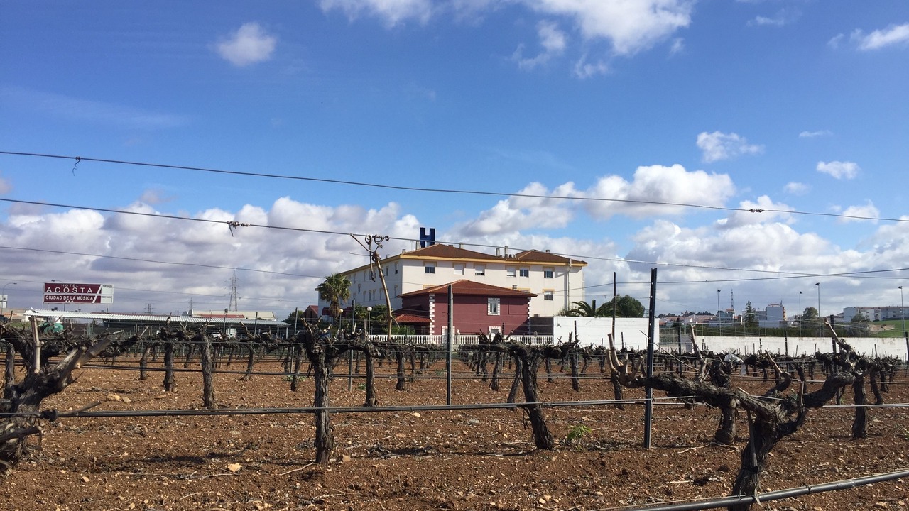 Photo of Outdoor in Villafranca de los Barros