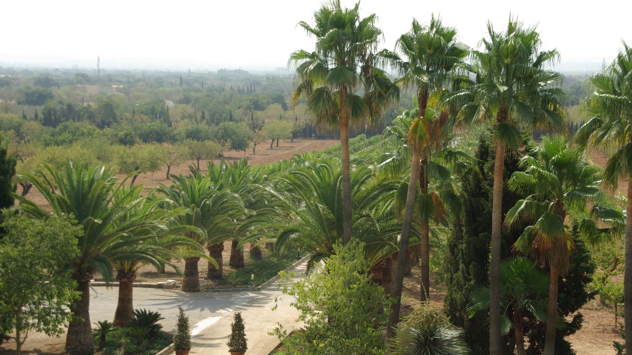 Photo of Outdoor in Consell