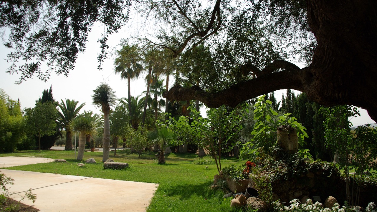 Photo of Outdoor in Consell
