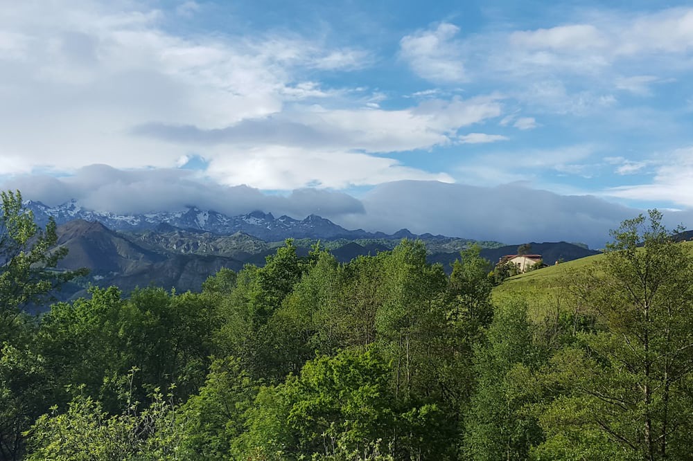 Photo of Outdoor in Santianes de Ola