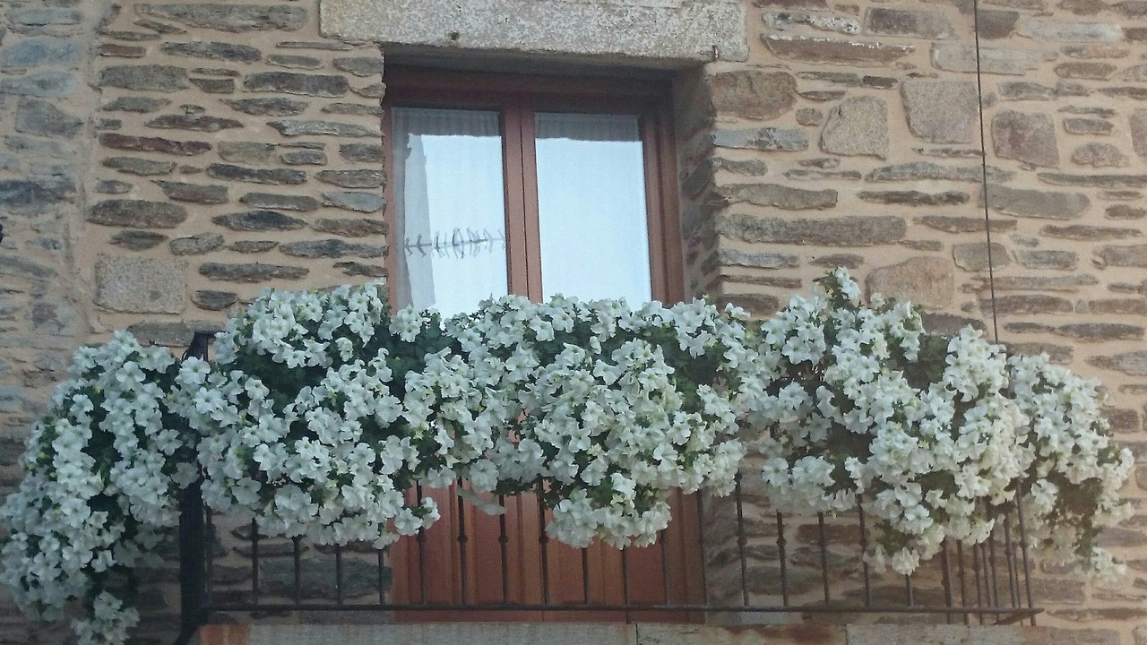 Photo of Outdoor in Puebla de Sanabria