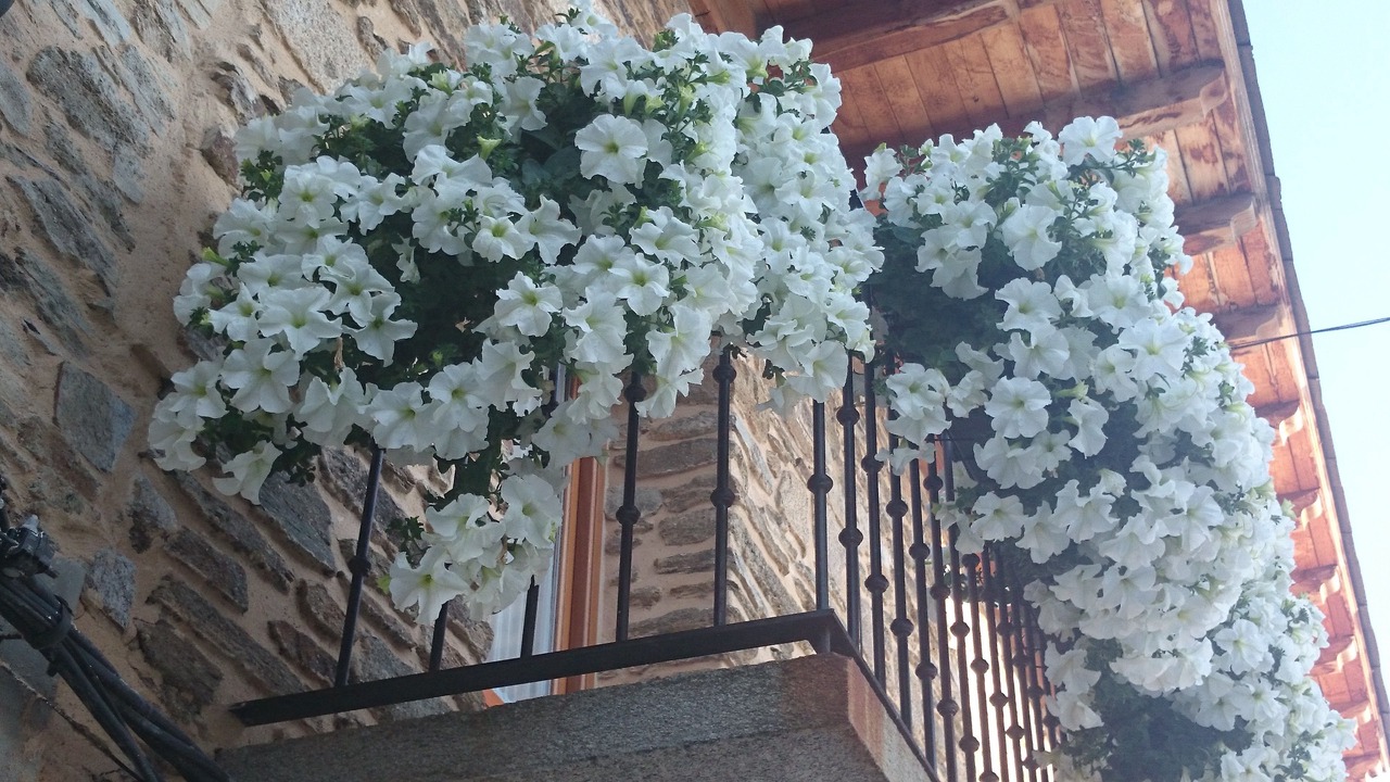 Photo of Outdoor in Puebla de Sanabria