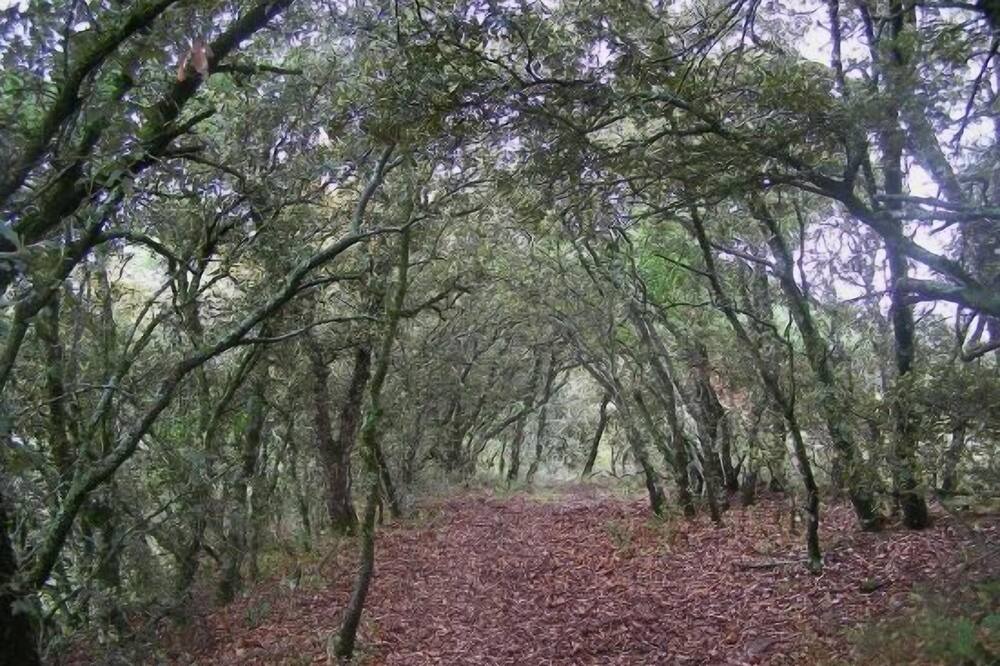 Photo of Outdoor in Mediano