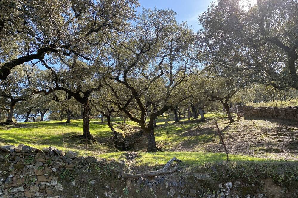 Photo of Outdoor in Aracena